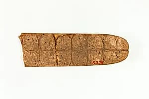 Plaque (?) by Unknown Artist