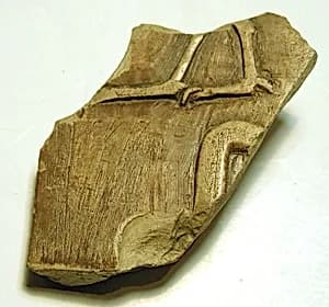 Raised relief fragment by Unknown Artist
