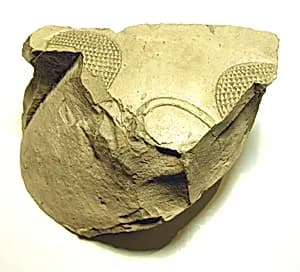 Raised relief fragment by Unknown Artist