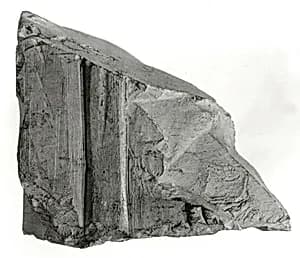 Raised relief fragment by Unknown Artist