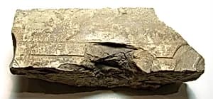 Raised relief fragment by Unknown Artist
