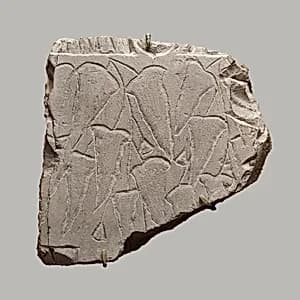 Relief fragment depicting a vine by Unknown Artist