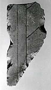 Relief fragment, tomb of Meketre by Unknown Artist