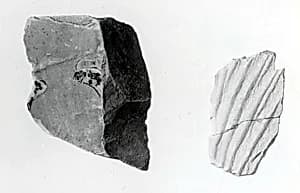 Relief fragment, tomb of Meketre by Unknown Artist