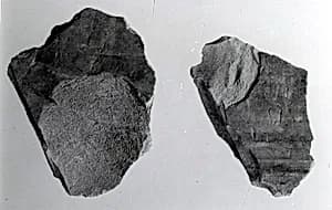 Relief fragment, tomb of Meketre by Unknown Artist