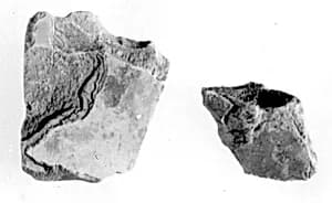 Relief fragment, tomb of Meketre by Unknown Artist