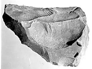 Relief fragment, tomb of Meketre by Unknown Artist