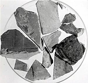 Relief fragment, tomb of Meketre by Unknown Artist