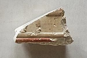 Relief of feet of ox - see 26.3.353-3 by Unknown Artist