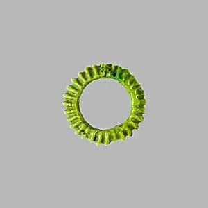 Rosette Pendant by Unknown Artist