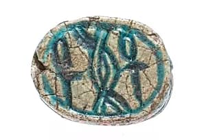 Scarab by Unknown Artist