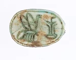 Scarab by Unknown Artist