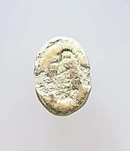 Scarab by Unknown Artist