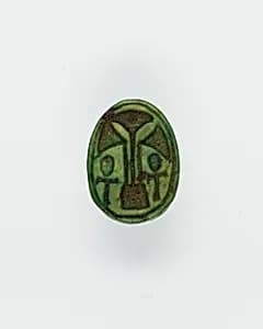 Scarab by Unknown Artist