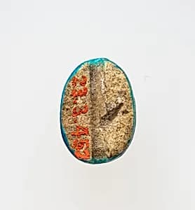 Scarab by Unknown Artist