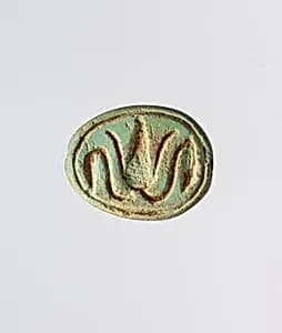 Scarab by Unknown Artist