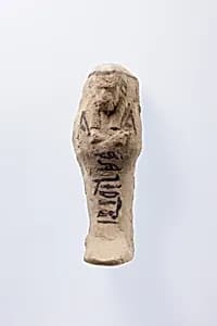 Shabti of Nesinebtasheru by Unknown Artist