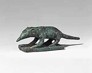 Shrew by Unknown Artist