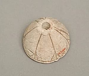 Spindle whorl by Unknown Artist