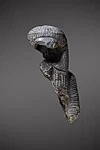 Statuette fragments (8), Ahmose Nefertari by Unknown Artist