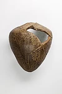 Tell el-Yahudiya-ware jar by Unknown Artist
