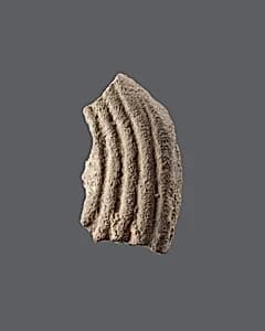 Tile by Unknown Artist