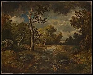 The Edge of the Woods