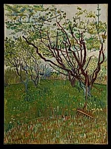 The Flowering Orchard