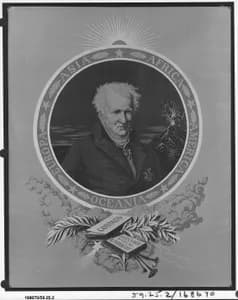 Portrait of Nicolas Romain