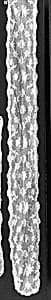 Barbe (one of three pieces) by Unknown Artist