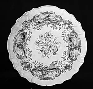 Dish