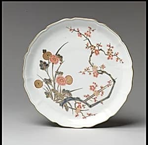 Dish