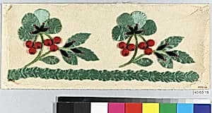 Dress border by Unknown Artist
