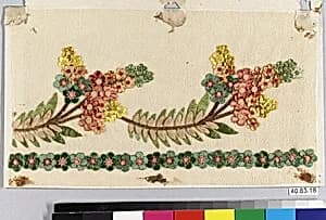 Dress border by Unknown Artist