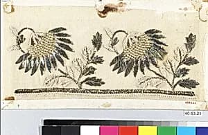 Dress border by Unknown Artist
