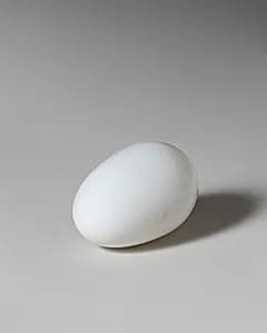 Egg by Unknown Artist