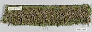 Fringe by Unknown Artist