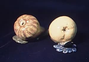 Pear by Unknown Artist