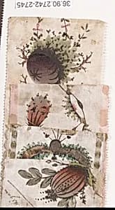 Ribbon by Unknown Artist