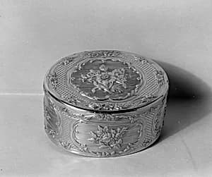 Snuffbox by Jean-Charles-Simphorien Dubos