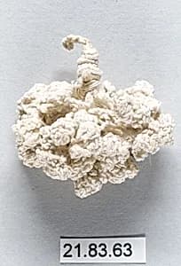 Tassel by Unknown Artist