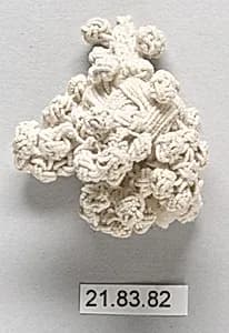 Tassel by Unknown Artist