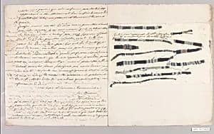 Textile swatch (one of 12) by Unknown Artist