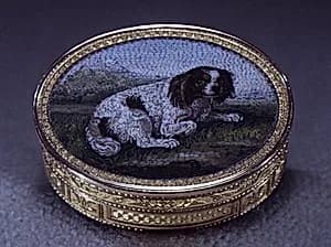 Vinaigrette by N.F.D.
