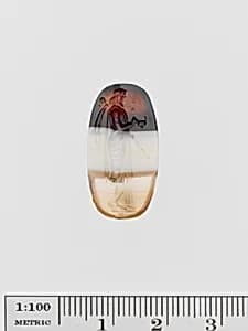 Banded agate oval gem by Unknown Artist