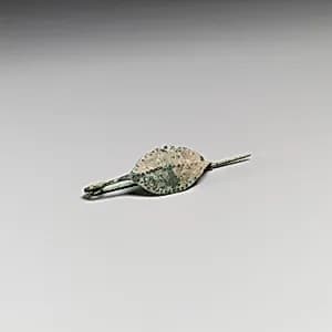 Fibula by Unknown Artist