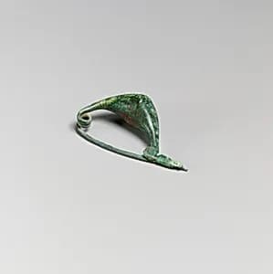 Fibula by Unknown Artist