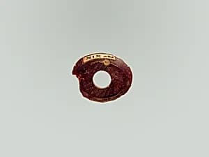 Fibula, fragment by Unknown Artist