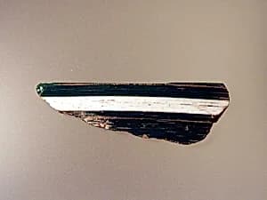 Glass border molding fragment by Unknown Artist