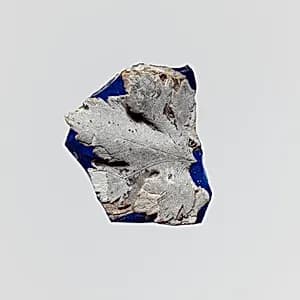Glass cameo fragment by Unknown Artist